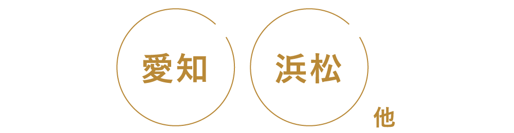 愛知 浜松 他